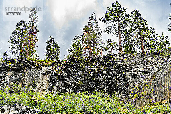 Felsformation aus säulenförmigem Basalt  Devils Postpile National Monument  Mammoth Mountain  Kalifornien  Vereinigte Staaten von Amerika  Nordamerika