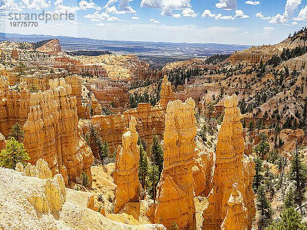 Rote Felsformationen  bekannt als Hoodoos  im Bryce-Canyon-Nationalpark  Utah  Vereinigte Staaten von Amerika  Nordamerika