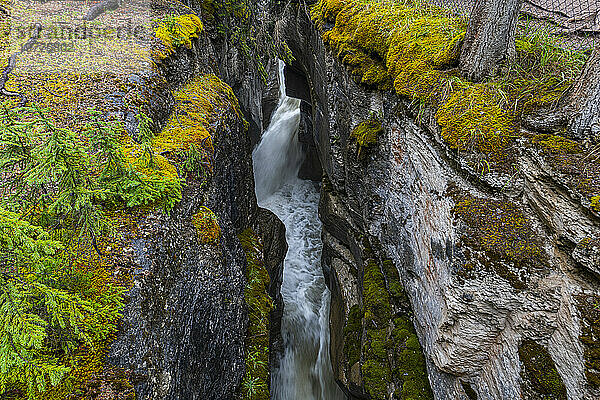 Maligne Canyon  Jasper Nationalpark  UNESCO-Weltkulturerbe  Alberta  Kanadische Rocky Mountains  Kanada  Nordamerika