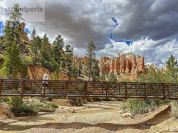 Ein Bach  der durch den Mossy Cave Trail im Bryce-Canyon-Nationalpark  Utah  Vereinigte Staaten von Amerika  Nordamerika fließt