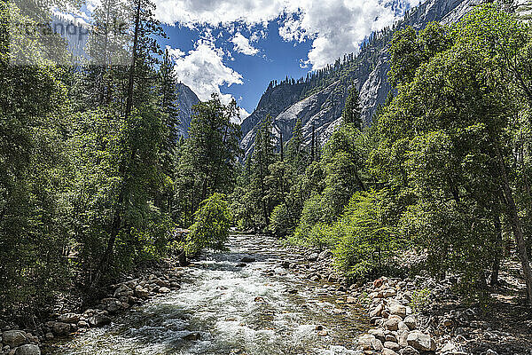 Merced River  Yosemite-Nationalpark  UNESCO-Weltkulturerbe  Kalifornien  Vereinigte Staaten von Amerika  Nordamerika