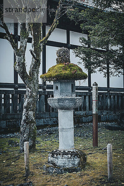 A small shrine covered with moss in Nikko  Honshu  Japan  Asia