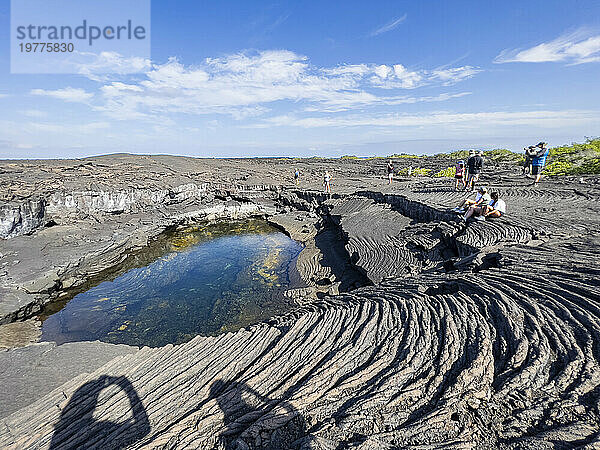 Pahoehoe-Lava auf der jüngsten Insel der Galapagosinseln  Insel Fernandina  Galapagosinseln  UNESCO-Weltkulturerbe  Ecuador  Südamerika