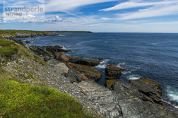 Mistaken Point  UNESCO-Weltkulturerbe  Halbinsel Avalon  Neufundland  Kanada  Nordamerika