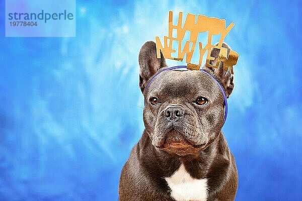 Dunkle Französische Bulldogge  die ein Stirnband mit dem Text Frohes neues Jahr vor einem blauen Hintergrund trägt