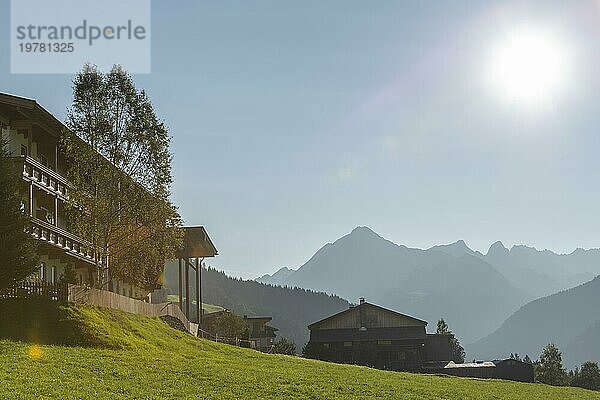 Vorderlanersbach  Tuxer Tal  Tux  Zillertaler Alpen  alpine Bergwelt  Pension  Dunst  Gegenlicht  Birke  Tirol  Österreich  Europa