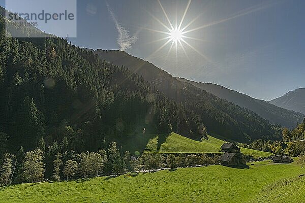 Landwirtschaft  Alm im Tal Zillergrund  Gebirgsbach Ziller  Almweide  Zillertaler Alpen  Berghang  Nadelwald  Gegenlicht  blauer Himmel  Tirol  Österreich  Europa