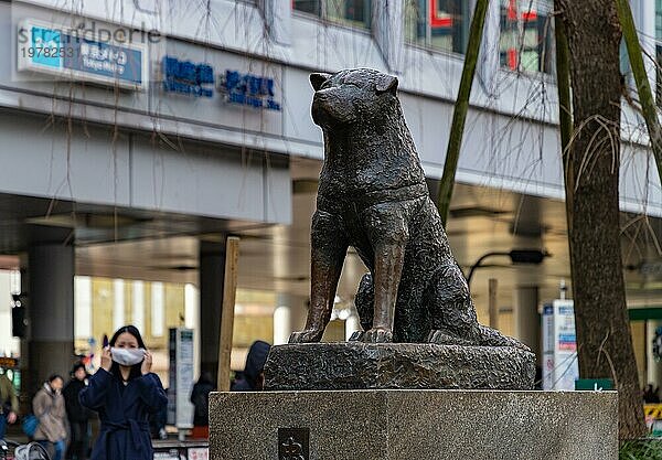 Ein Bild der Hachiko Gedenkstatue in Shibuya (Tokio)