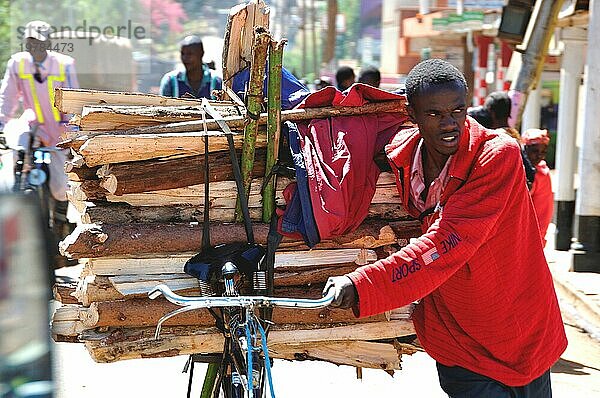 Eldoret  Rift VAlley: Junger Mann transportiert Holz auf seinem Fahrrad durch die Straßen Junger Mann scheppt Brennholz auf seinemFahhrrad durch die Straßen von Eldoret
