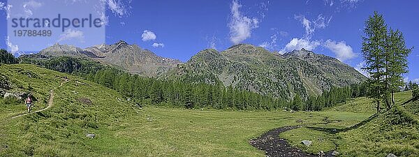 Bach schlängelt sich durch eine Wiese  Wanderung Weißbrunnsee zur Fiechtalm  Ulten  Südtirol  Italien  Europa