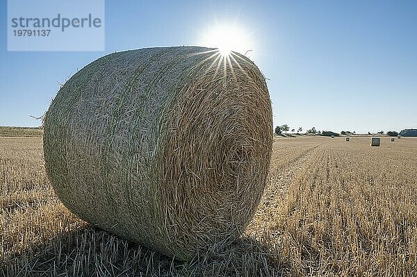 Strohballen auf abgeernteten Getreidefeld  im Gegenlicht mit Sonnenstern  Thüringen  Deutschland  Europa