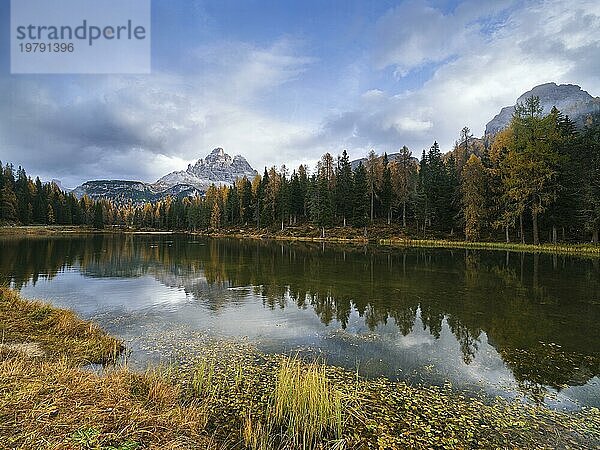 Herbst am Lago d'Antorno  drei Zinnen  tre Cime  Lärchen  Spiegelung  Dolomiten  Südtirol