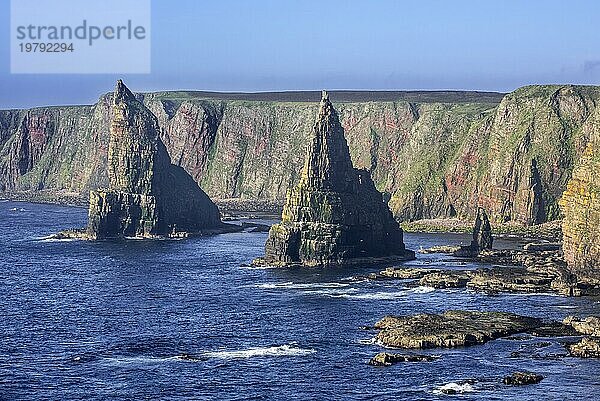 Duncansby Stacks  Felsnadeln südlich von Duncansby Head in der Nähe von John o' Groats  Caithness  Highland  Schottische Highlands  Schottland  UK