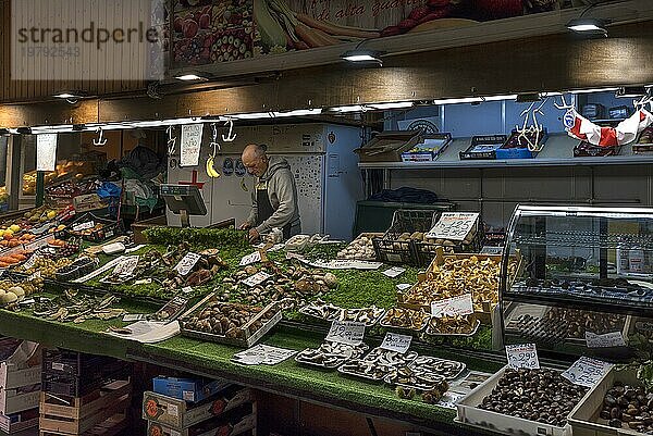Stand mit Pilzen aus der Region  in der großen Markthalle  Mercato Orientale  Via XX Settembre  75 r  Genua  Italien  Europa
