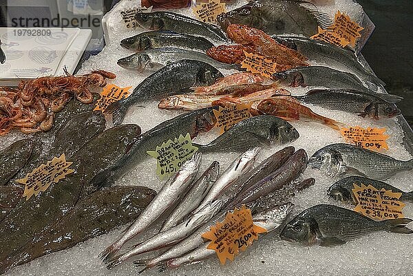 Frische Fische auf Eis an einem Fischstand in der großen Markthalle  Mercato Orientale  Via XX Settembre  75 r  Genua  Italien  Europa