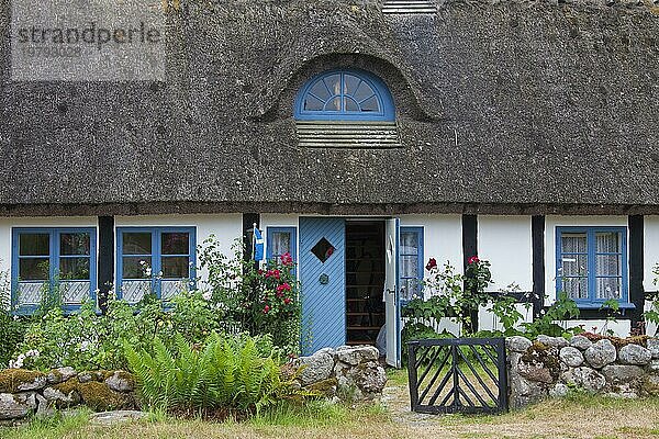 Altes  traditionelles Haus im Sommer in Knäbäckshusen  Österlen  Skåne  Schonen  Schweden  Europa