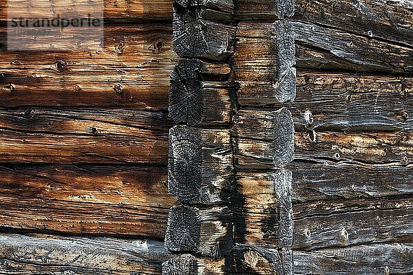 Detail einer Blockhaus Eckverbindung in Fatmomakke  Lappland  Schweden  Europa