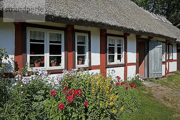 Altes traditionelles Bauernhaus  Himmelstorp  Kullaberg  Kullen  Skåne  Schonen  Schweden  Europa