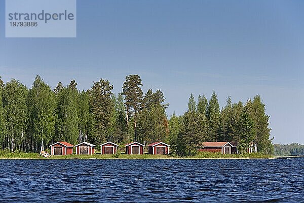 Rote Holzboothäuser am Siljansee im Sommer  Dalarna  Schweden  Europa