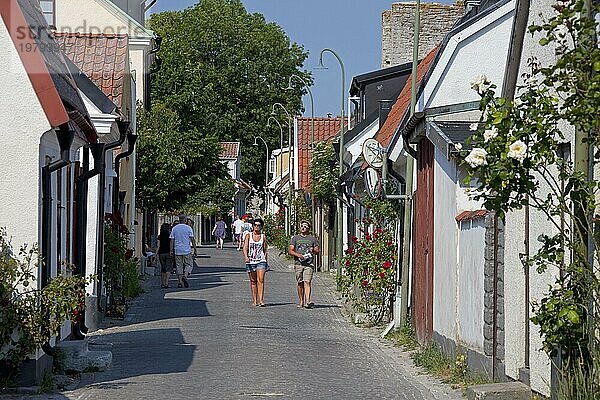 Traditionelle Häuser in einer Straße der Hansestadt Visby  Gotland  Schweden  Europa