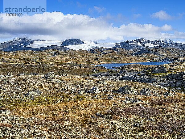 Herbst im Sognefjell  Gletscher  Landschaftsroute  Jotunheimen  Sognefjellsvegen  Lom  Norwegen  Europa