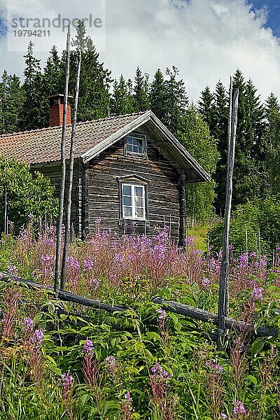 Traditionelle alte Holzhäuser  Blockhütten im Dorf Fryksås  Dalarna  Schweden  Skandinavien  Europa