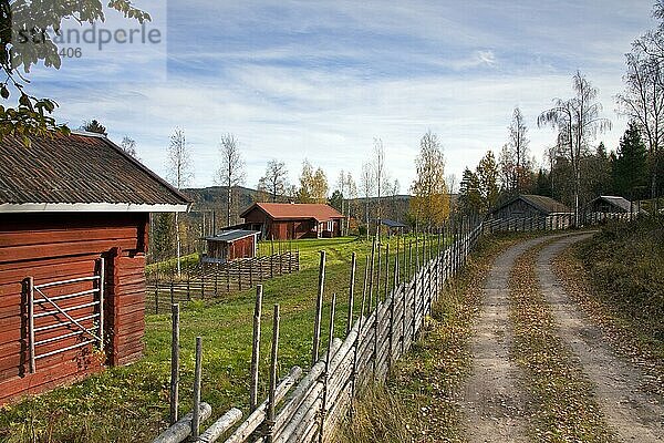 Traditionelles rotes Holzbauernhaus  Dalarna  Schweden  Skandinavien  Europa