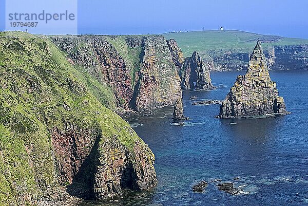 Duncansby Stacks  Felsnadeln südlich von Duncansby Head in der Nähe von John o' Groats  Caithness  Highland  Schottische Highlands  Schottland  UK