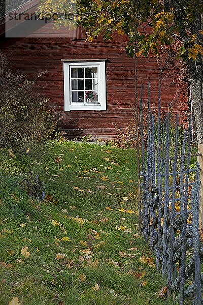 Traditionelles rotes Holzbauernhaus  Dalarna  Schweden  Skandinavien  Europa