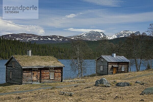 Blockhaus mit Grasdach am See in Fatmomakke  Lappland  Schweden  Europa