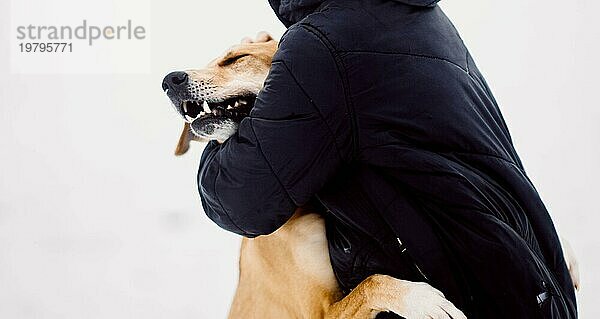 Obdachloser roter Hund umarmt freudig seinen neuen Besitzer in einem Tierheim für streunende Hunde