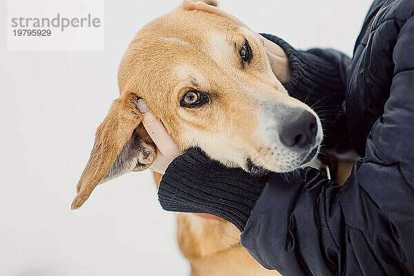 Obdachloser roter Hund umarmt freudig seinen neuen Besitzer in einem Tierheim für streunende Hunde