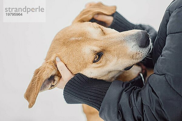 Obdachloser roter Hund umarmt freudig seinen neuen Besitzer in einem Tierheim für streunende Hunde