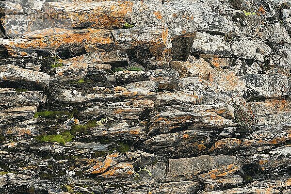 Texturierter Basalthintergrund dünne Steinfasern im Schnitt. natürliche vulkanische Formationen