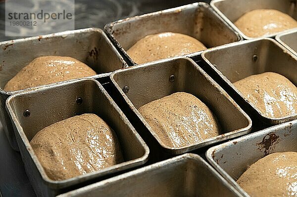 Ungekochtes Brot in Form von Teig wird vor dem Backen in Brotdosen gelegt. Craft Brot. Kravtovoe Herstellung von gesundem und gesundes Brot. Blick von oben