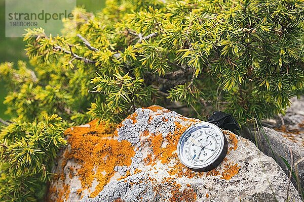 Ein Magnetkompass liegt auf einem Stein neben den Zweigen eines Wacholders
