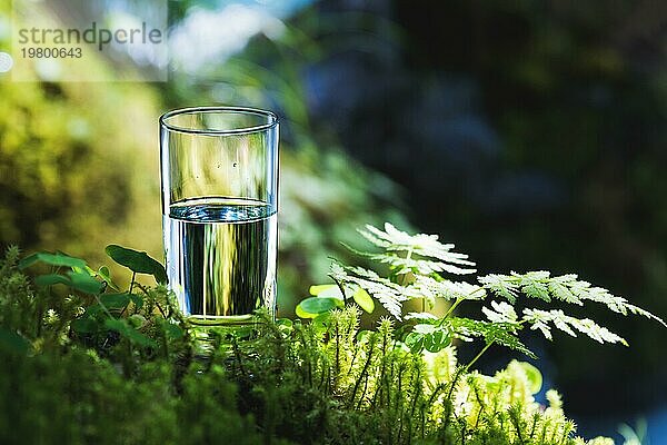 Klares Wasser in einem klaren Glas vor einem Hintergrund aus grünem Moos mit einem Bergfluss im Hintergrund. Gesundes Essen und umweltfreundliches natürliches Wasser