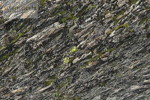 Texturierter Basalthintergrund dünne Steinfasern im Schnitt. natürliche vulkanische Formationen