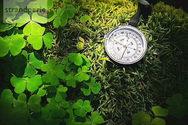 Close up handgefertigten hölzernen Kompass  Baum Schatten auf grünen Natur Gras Boden. Urlaub Abenteuer im Wald. Kompass sagt Richtung. und Kunst Jahrgang Hintergrund