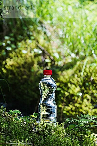 Transparenter Kunststoff Eine Flasche mit sauberem Wasser mit rotem Deckel steht im Gras und Moos auf dem Hintergrund des üppigen Grüns des Frühlingswaldes. Das Konzept des reinen natürlichen Trinkwassers