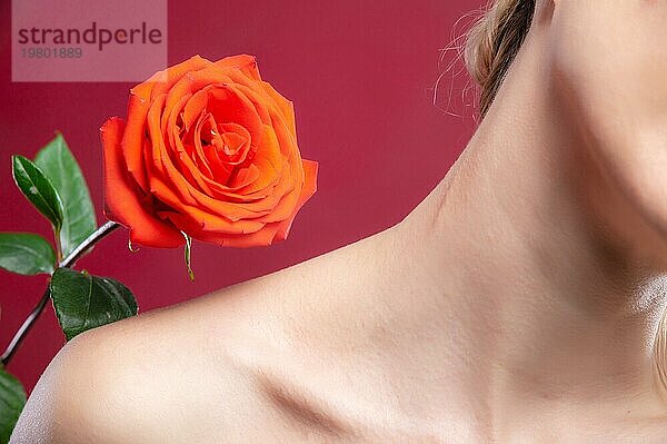 Schulter Nacken und Schlüsselbein eines attraktiven jungen Mädchens auf rotem Hintergrund neben einer roten Rose