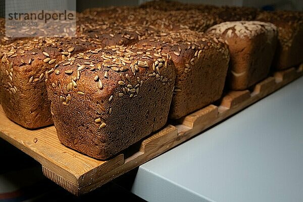 Nahaufnahme von frischen  braunen Roggenbrotlaiben in Form von Ziegelsteinen mit Sonnenblumenkernen auf der Kruste. Liegen auf einem Holzgestell