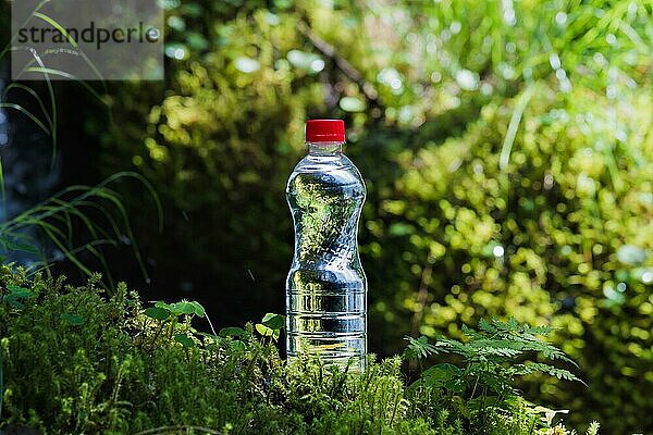 Transparenter Kunststoff Eine Flasche mit sauberem Wasser mit rotem Deckel steht im Gras und Moos auf dem Hintergrund des üppigen Grüns des Frühlingswaldes. Das Konzept des reinen natürlichen Trinkwassers