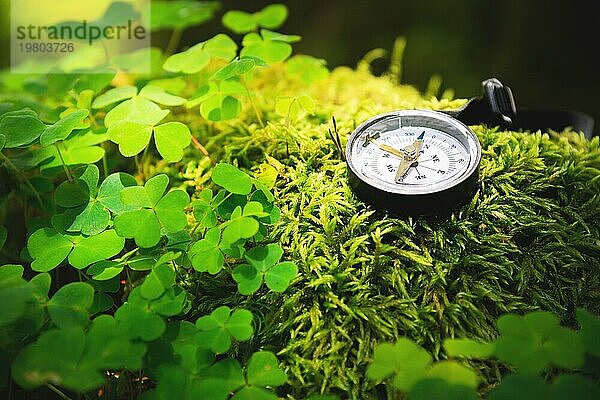 Close up handgefertigten hölzernen Kompass  Baum Schatten auf grünen Natur Gras Boden. Urlaub Abenteuer im Wald. Kompass sagt Richtung. und Kunst Jahrgang Hintergrund