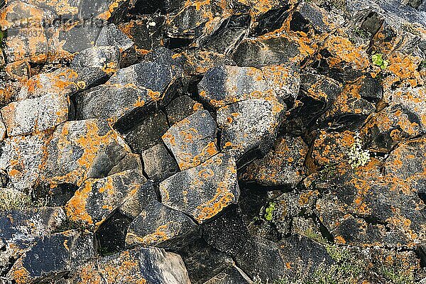 Texturierter Basalthintergrund Sechseckige Steinsäulen in einem Ausschnitt. natürliche vulkanische Formationen