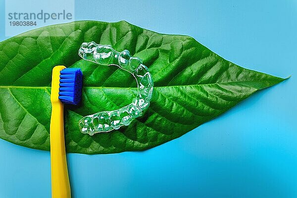 Eine helle Zahnbürste mit Plastikschienen liegt auf einem saftigen grünen Blatt. auf blauem Hintergrund  Draufsicht  niemand