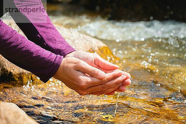 Weibliche Hände  Handflächen  die mit Bergquellwasser gefüllt sind  an einem sonnigen Tag  Nahaufnahme