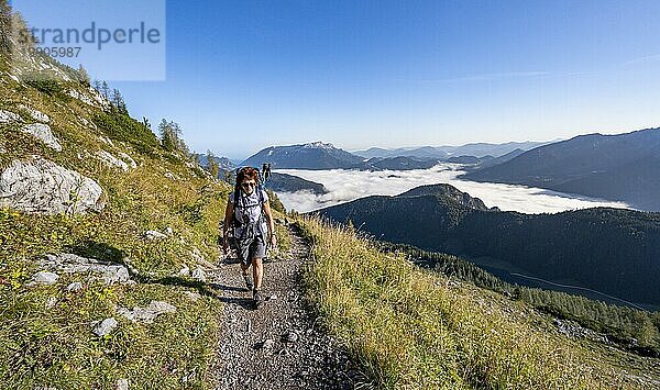 Bergsteigerin auf einem Wanderweg  Ausblick auf Bergpanorama und Wolkenmeer  Hochnebel im Tal  Aufstieg zum Watzmann  Nationalpark Berchtesgaden  Berchtesgadener Alpen  Bayern  Deutschland  Europa