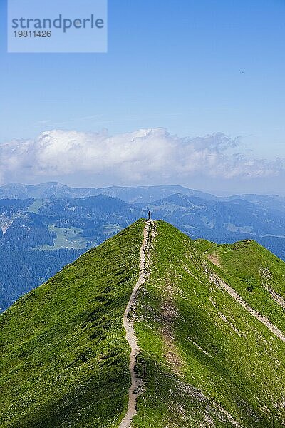 Wanderweg vom Fellhorn  2038m  zum Söllereck  Allgäuer Alpen  Bayern  Deutschland  Europa