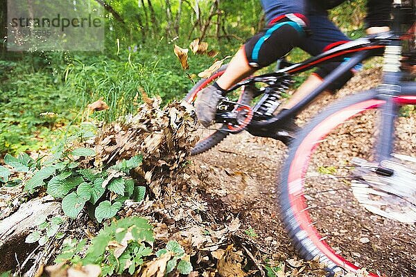 Ein junger Fahrer auf einem Fahrrad für bergab steigt die Felsen im Wald hinunter. High Speed Passage der Gegendrehung mit Drift auf dem Boden und fliegende Blätter